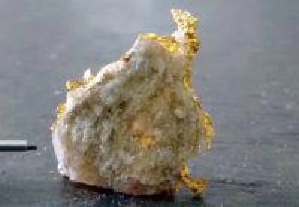 Gold von der Cascavel-Mine; Foto: Orinoco Gold
