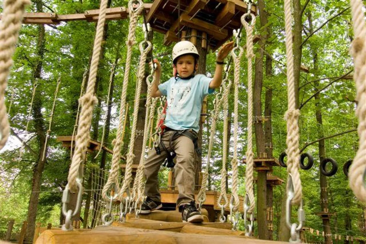 Benefiz Wettkampf im Kletterwald Gera