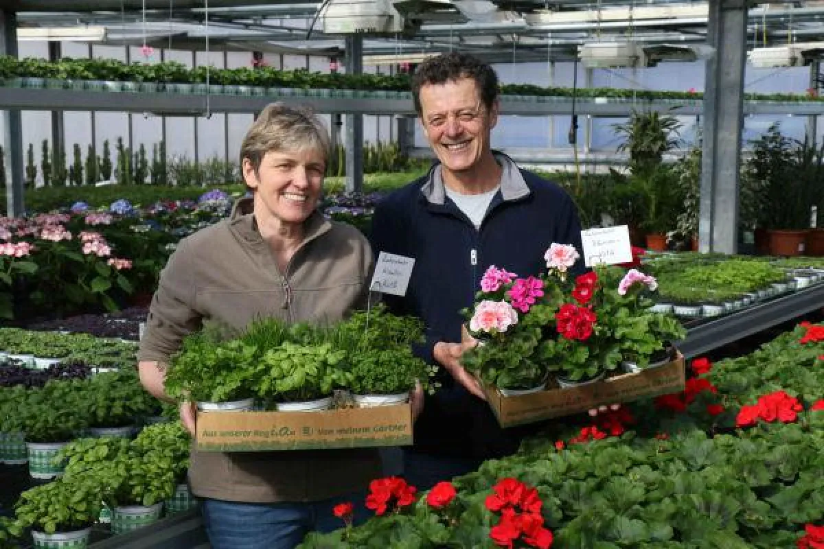 Die Gärtnerei der Stiftung Liebenau lädt zu den „Liebenauer Kräutertagen 2016“ ein