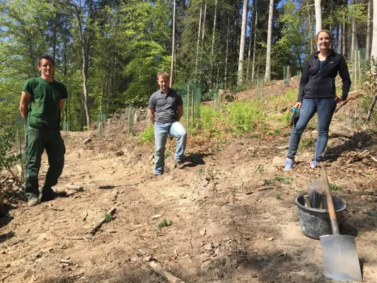 Bild: Klimaschutz beginnt hier. Mit mir! IT-HAUS GmbH pflanzt 70 neue Bäume im Rahmen eines eigenen Umweltprojektes