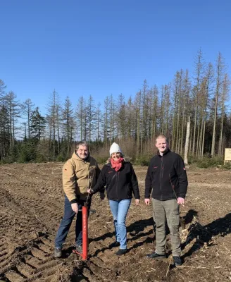 Bild: Bäume pflanzen für den guten Zweck: DENSO engagiert sich für den Klimaschutz