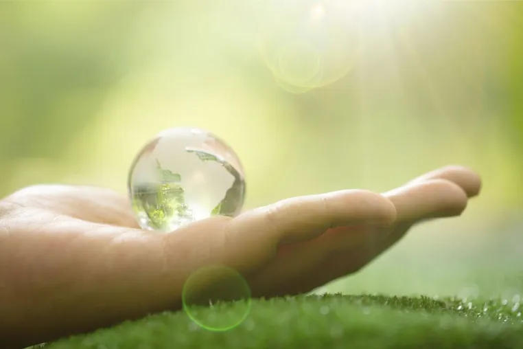 Bild: Wurzer Umwelt - Engagement für Umwelt und Gemeinschaft