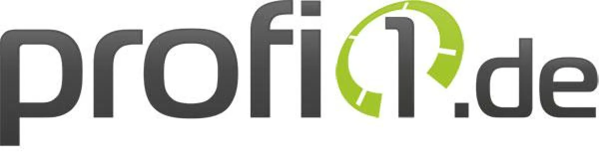 Profi1.de - Webhosting für gehobene Ansprüche