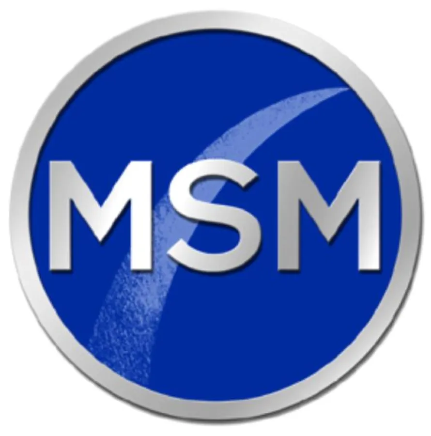 Logo der MSM Group