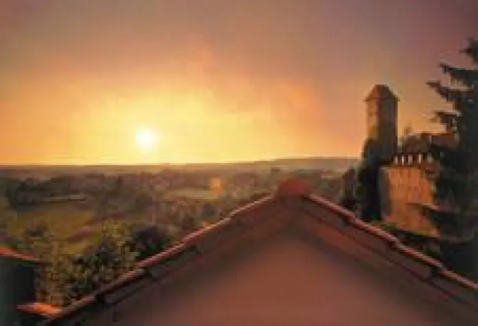 Bild: Sammelstelle für Sonnenwärme - Thermokollektoren verwandeln Sonnenlicht in Wärme und senken die Energiekosten