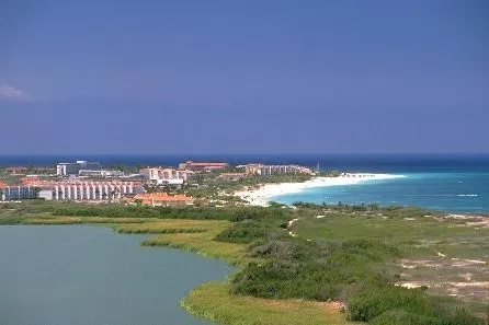 Bild: Aruba „kocht“ für den europäischen Gaumen & setzt auf Grün