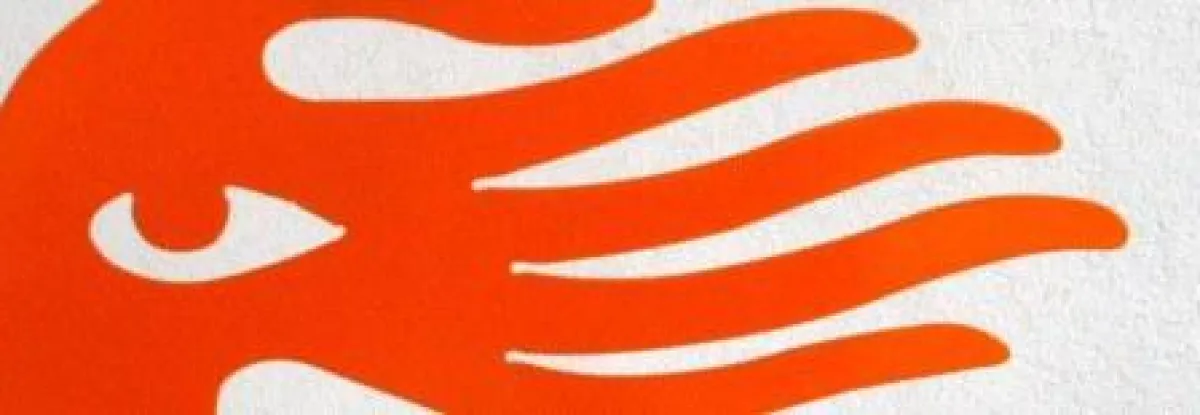 13. Corporate Design Preis