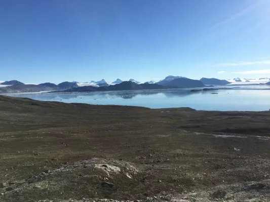 Bild: Flexibel und widerstandsfähig: Internationales Team untersucht Zellfunktion neu entdeckter Algenart