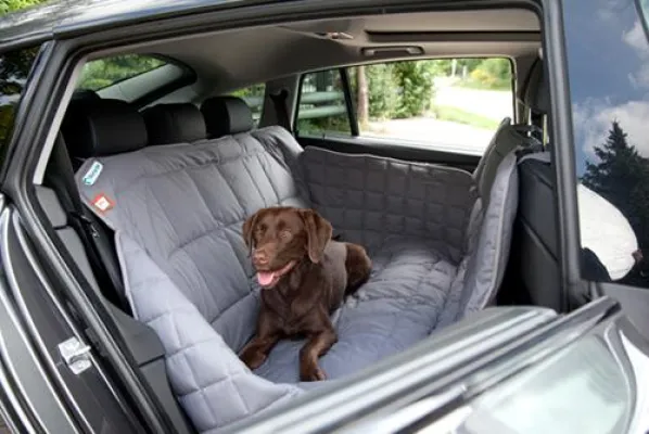 Bild: Tipp für alle autobegeisterten Hundehalter: Medizinisch saubere und geruchsfreie Autodecken von Doctor Bark