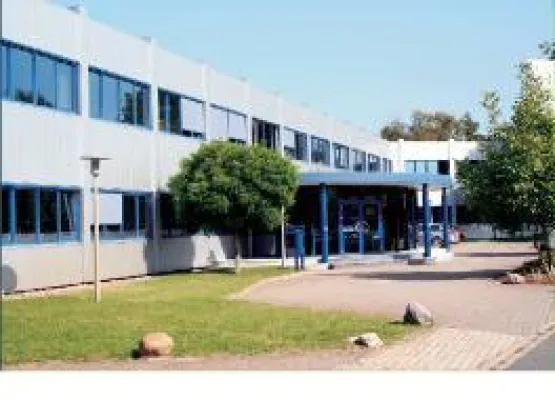 Bild: SMS-Bewerbung für Jobsucher ein Erfolg