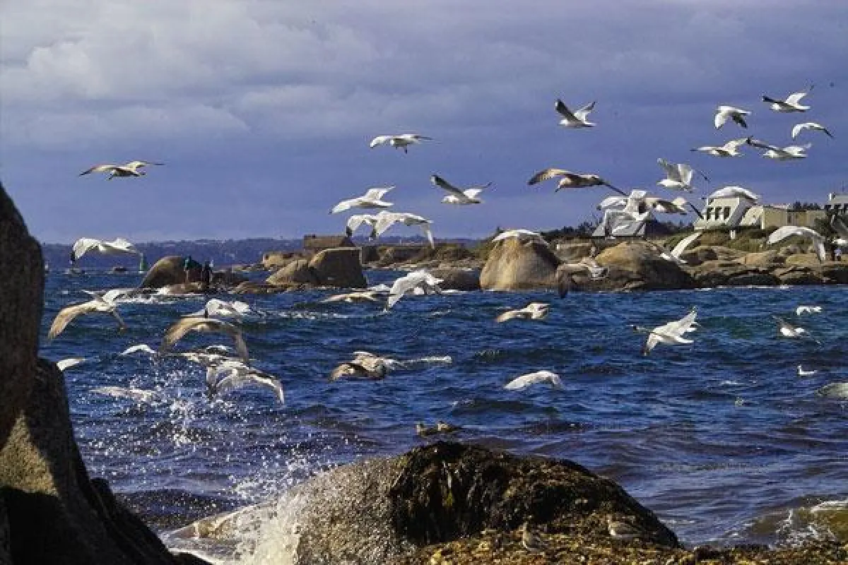 Kermor Ferienhäuser am Atlantik
