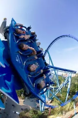 Bild: Neueröffnung in SeaWorld Orlando - Manta - Ein Muss für Coasterfans und Meeresinteressierte
