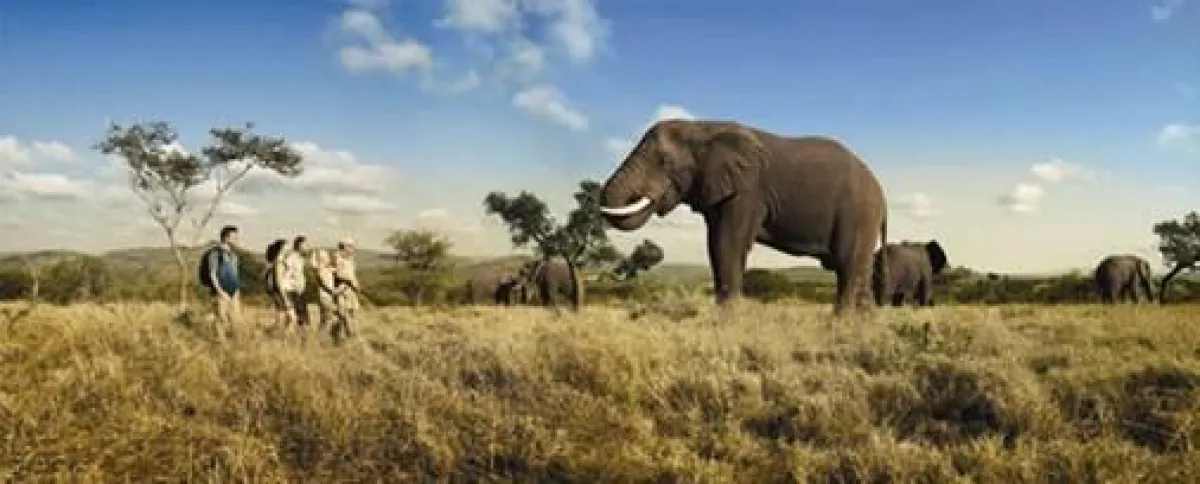 Panasonic goes South Africa!