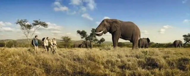 Bild: Panasonic goes South Africa