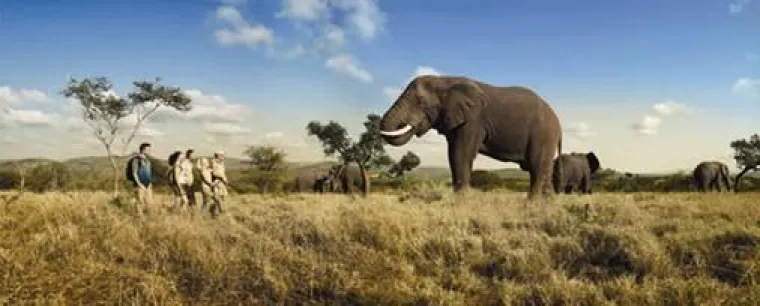 Panasonic goes South Africa Bild: Panasonic goes South Africa