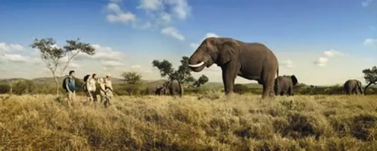 Bild: Panasonic goes South Africa