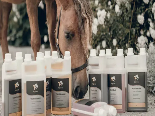 Bild: Equanis Online-Shop – Hochwertiges Ergänzungsfutter für Pferde