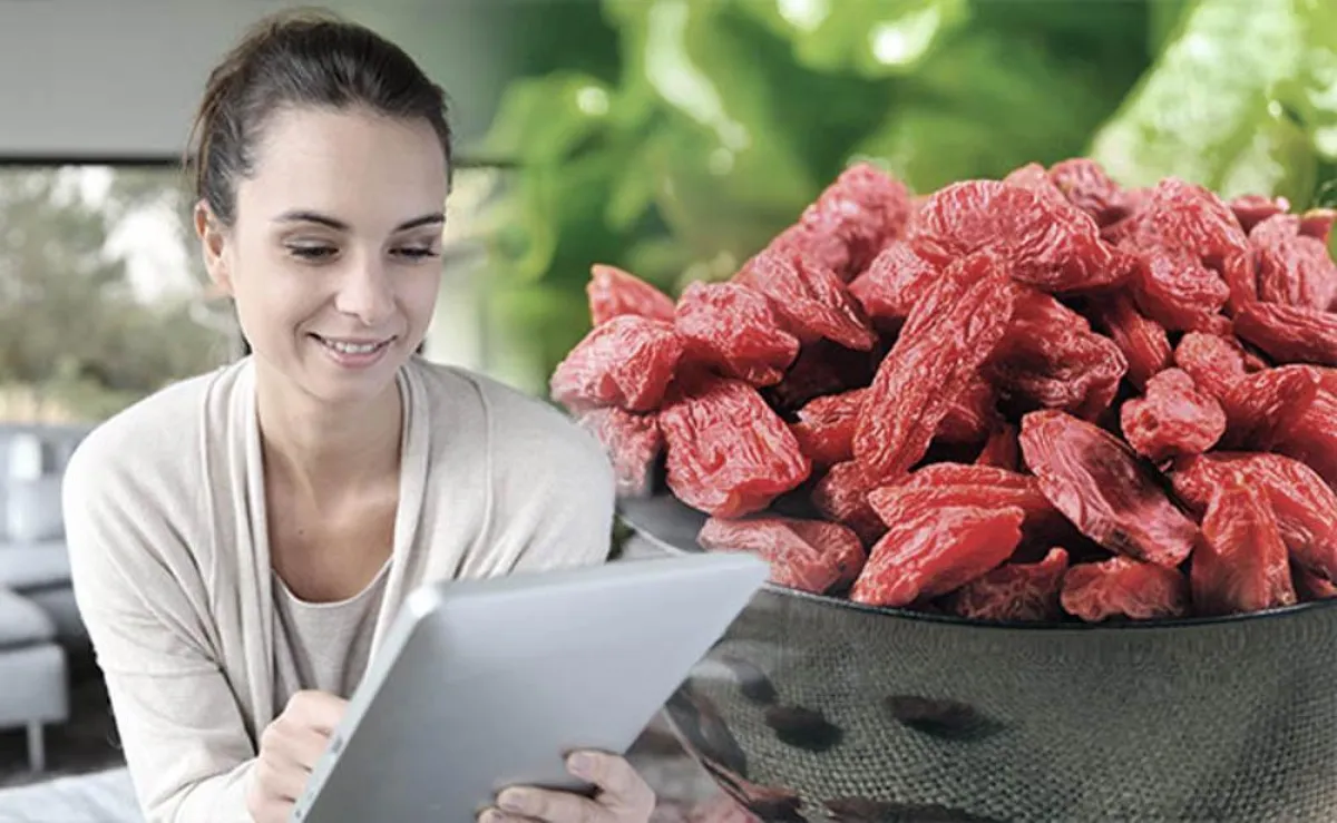 Ist die chinesische Goji-Frucht tatsächlich so gesund?