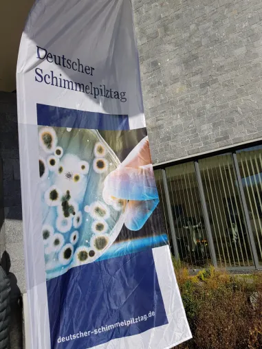 Schimmel hat keine Chance – Experten klären auf! Bild: Schimmel hat keine Chance – Experten klären auf!