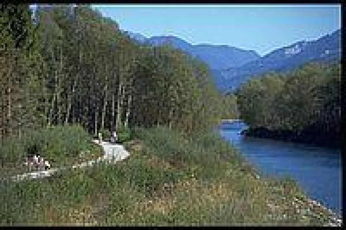 Drauradweg bei Berg im Drautal mit dem Drau-Fluß
