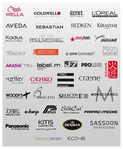 Viele tausend Stimmen für die SalonStars 2011 Bild: Viele tausend Stimmen für die SalonStars 2011