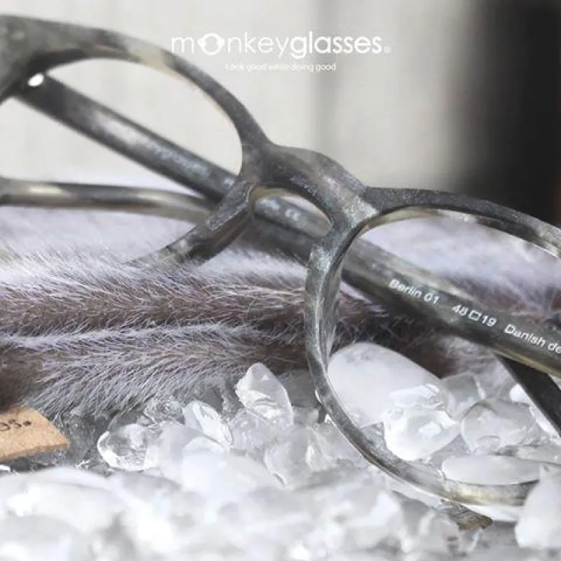 Aktuelle Designerfassung Arctic von monkeyglasses (Foto: NLO / monkeyglasses)