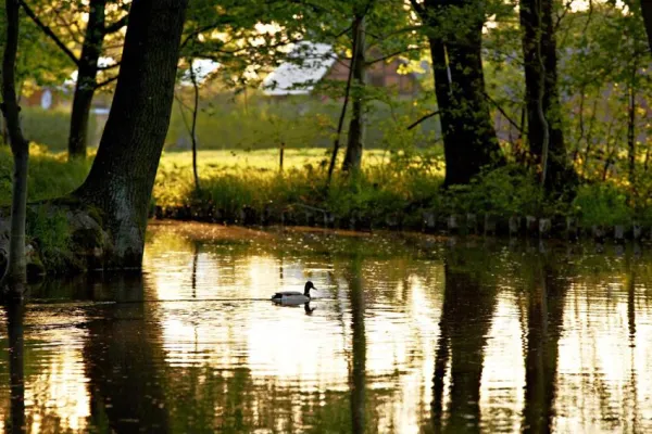 E-Mobilität – engagierter Umgang mit den Naturressourcen im Spreewald Bild: E-Mobilität – engagierter Umgang mit den Naturressourcen im Spreewald