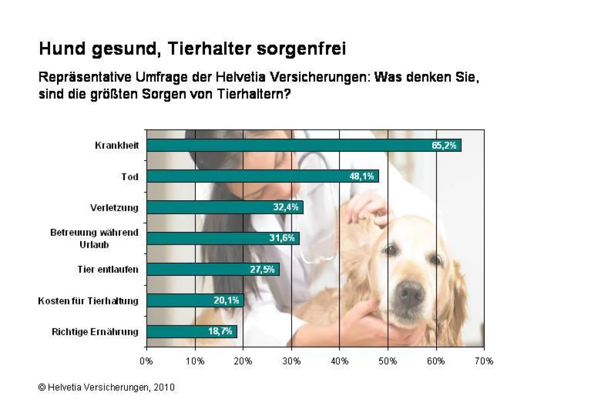 Umfrage der Helvetia Versicherungen: Was denken Sie, sind die größten Sorgen von Tierhaltern?