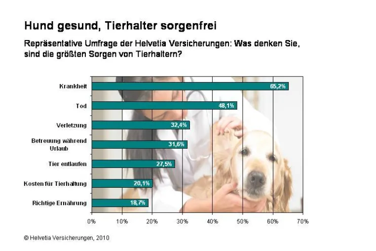 Bild: Bello gesund, Tierhalter sorgenfrei