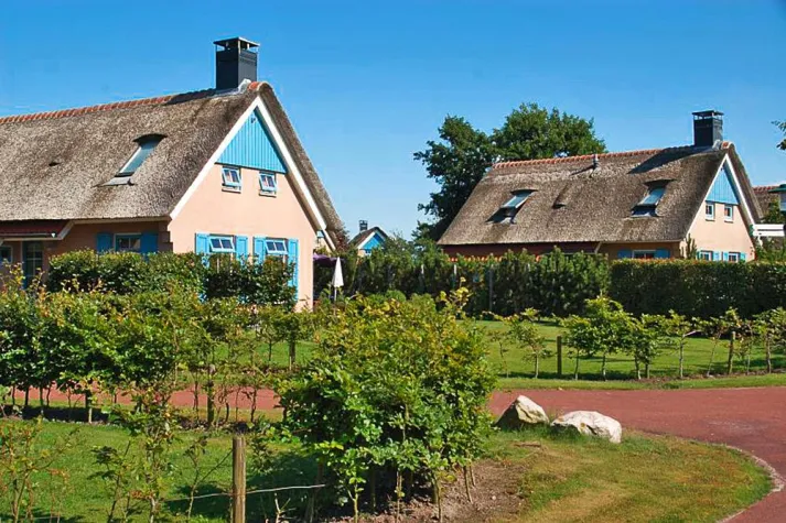 Bild: Ferienhaus mit Hund auf Texel