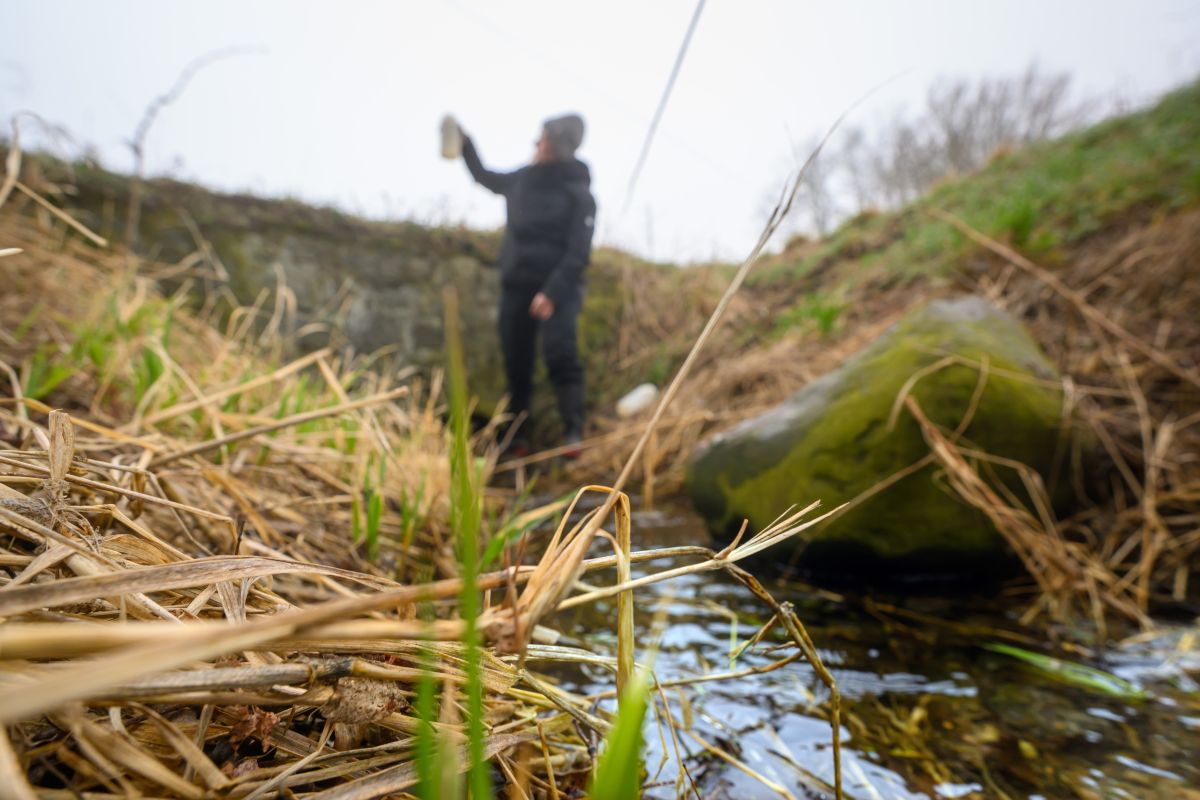 Die Dynamik des Landschaftswasserhaushalts beeinflusst die Nitratbelastung im Klimawandel
