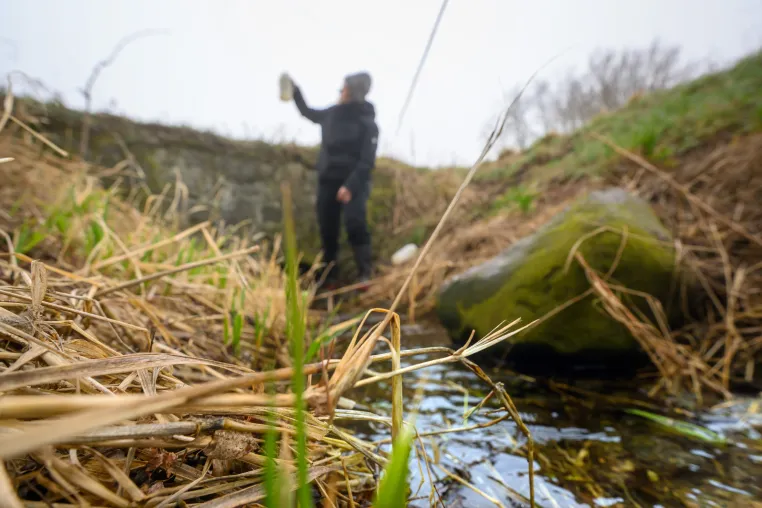 Bild: Die Dynamik des Landschaftswasserhaushalts beeinflusst die Nitratbelastung im Klimawandel