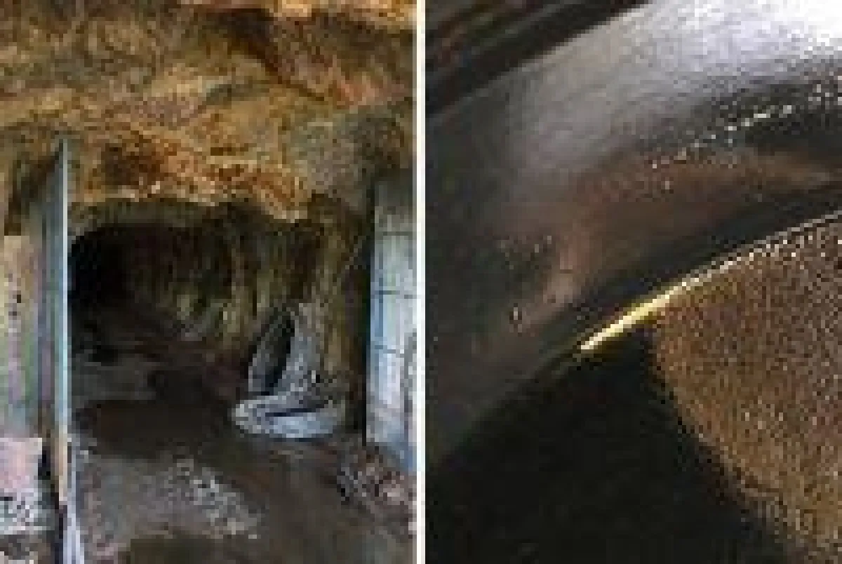 Auf der San Agustin-Mine; Foto: Brigadier Gold