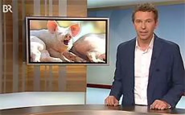 Bild: Das Bayerische Fernsehen bei Sano