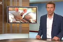 Das Bayerische Fernsehen bei Sano Bild: Das Bayerische Fernsehen bei Sano