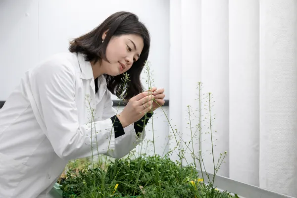 Bild: Mütter schicken „SMS“ an Pollen