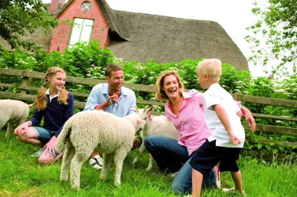 Bild: Der Countdown für das große Familien-Casting läuft