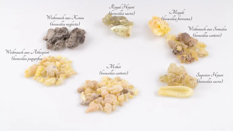 Bild: Weihrauch aus aller Welt
