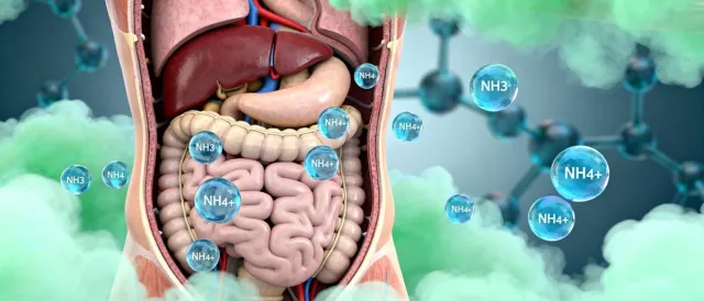 Bild: Ammonium und Ammoniak - lange unterschätzte Gefahr für Gehirn und Gesundheit