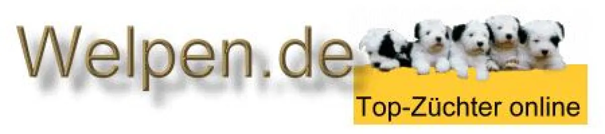 Welpen.de - das Portal für Hundefreunde