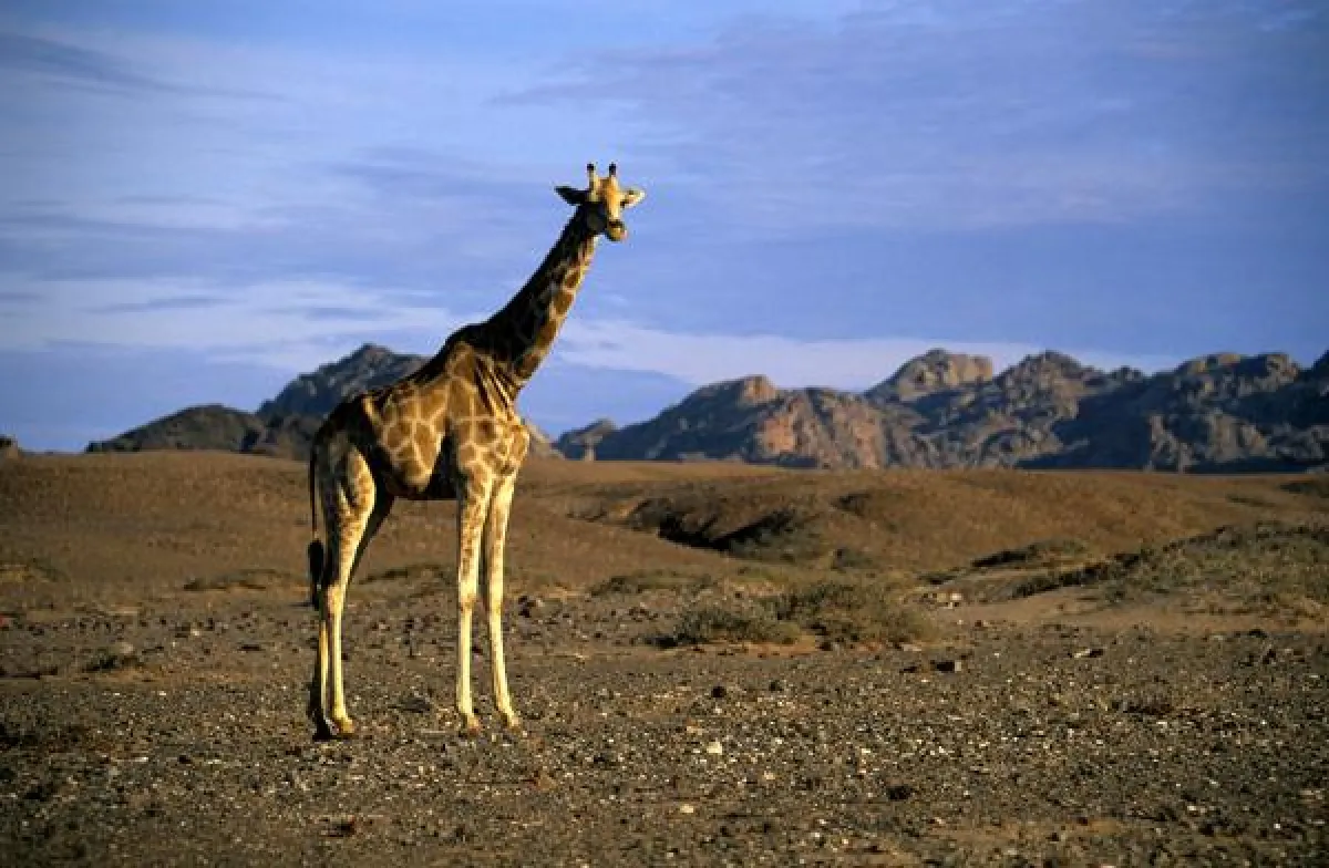 Urlaub in Namibias Natur. Foto: Namibia Tourism Board