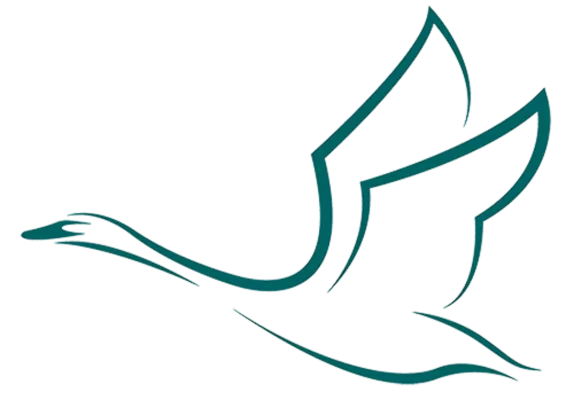 Sriracha Saucen für Veganer Bild: Sriracha Saucen für Veganer