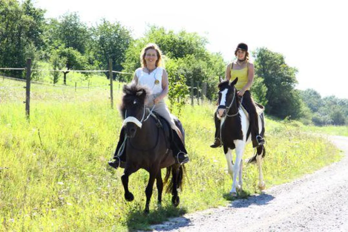 Reiten ohne Trense - Spass für Pferd und Reiten