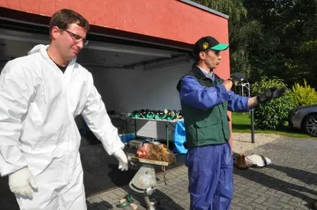 Bild: Tierärztefortbildung der Agrar- und Veterinär- Akademie (AVA): Die Klauen tragen die Milch
