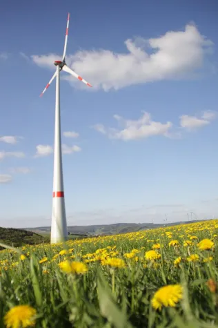 Bild: NATURSTROM liefert 100 Prozent Ökostrom aus Deutschland