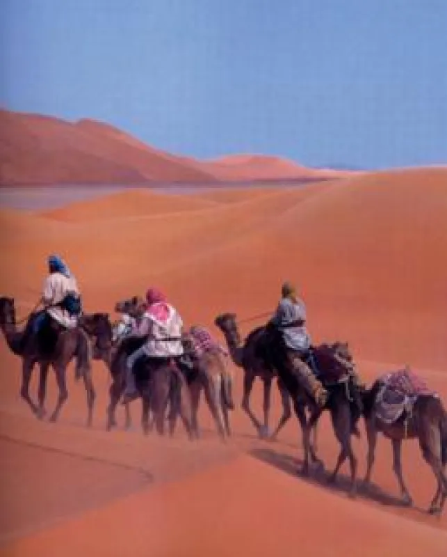 Rub al-Khali-Wüste, Abu Dhabi