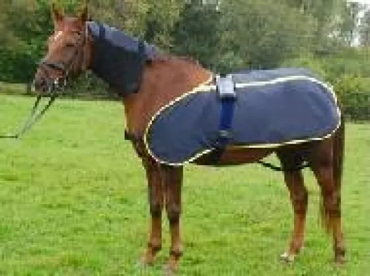 Bild: Alternative Gesundheitsmethoden für Zwei- und Vierbeiner