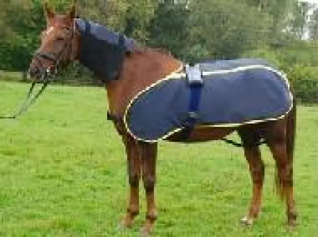 Bild: Alternative Gesundheitsmethoden für Zwei- und Vierbeiner