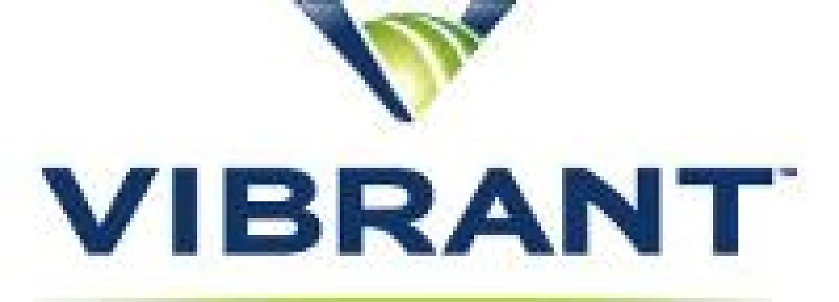 Vibrant erwirtschaftete im zweiten Quartal 2010 global ein Umsatzplus von 51 Prozent im Vergleich zum Vorjahresquartal