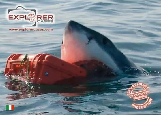 Bild: Explorer Cases – ab sofort Exklusiv bei tanala